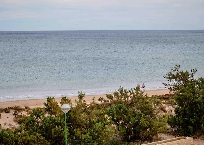 Relax Total Junto Al Mar * Oliva